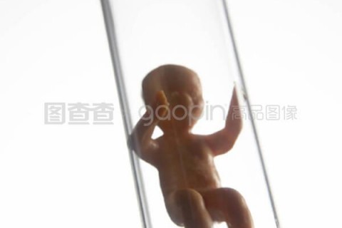 http://shanghai.nbgk120.com/post/209.html|上海捐卵费用