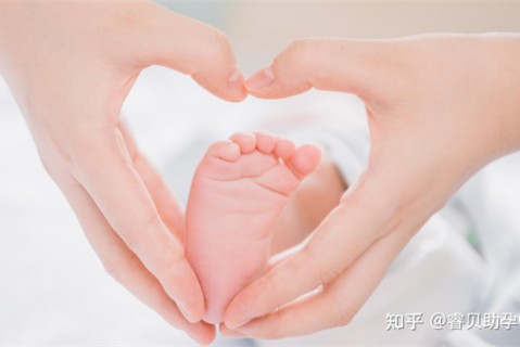夏天上海捐卵宝宝发烧 莫要急