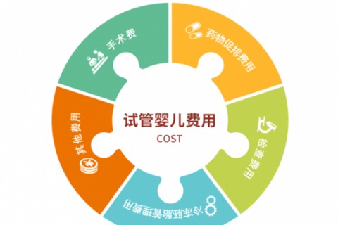 上海捐卵宝宝肚痛，父母该怎么办？